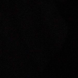 Meet your Posher, Leonardo